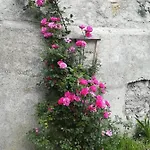 Muehlnerhof Familie Gruber アイヒ