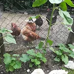 Muehlnerhof Familie Gruber アイヒ