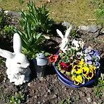 Muehlnerhof Familie Gruber アイヒ