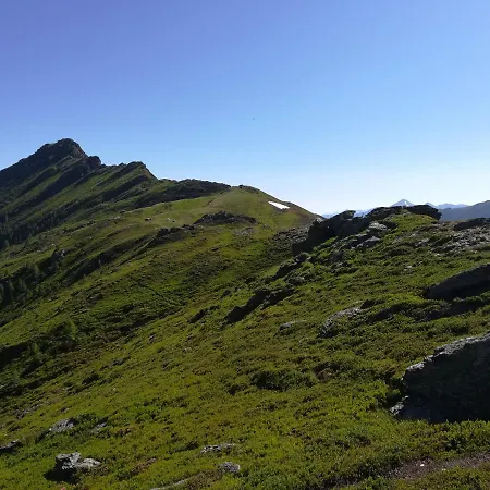 Muehlnerhof Familie Gruber 艾奇