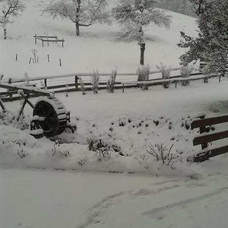住宿加早餐酒店 Muehlnerhof Familie Gruber 艾奇
