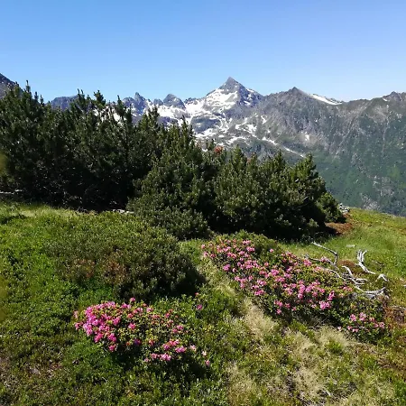Muehlnerhof Familie Gruber Aich (Styria)