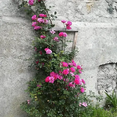 Muehlnerhof Familie Gruber 艾奇