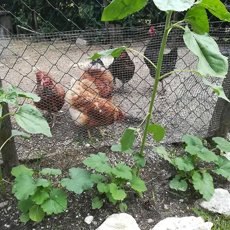 Muehlnerhof Familie Gruber 艾奇