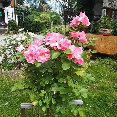 住宿加早餐酒店 Muehlnerhof Familie Gruber 3*