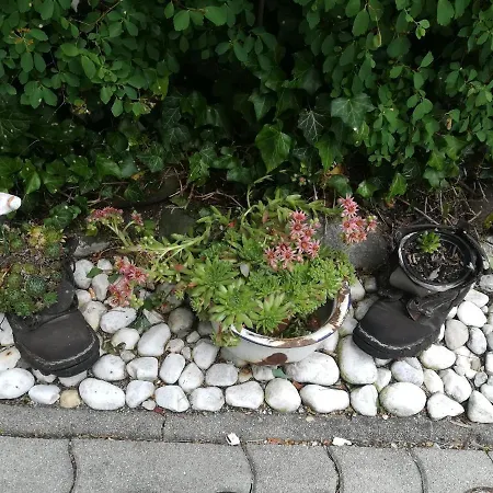 Muehlnerhof Familie Gruber 艾奇