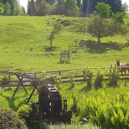 Muehlnerhof Familie Gruber 住宿加早餐酒店