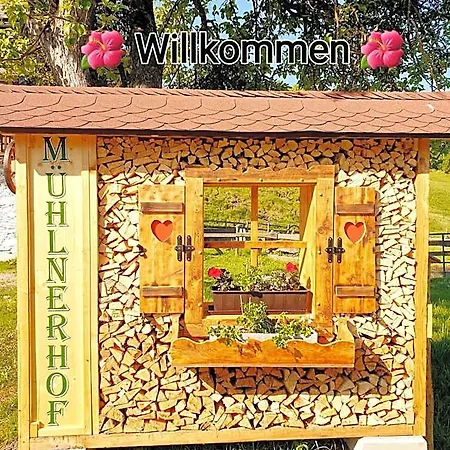 Muehlnerhof Familie Gruber Alojamento de Acomodação e Pequeno-almoço Aich (Styria)