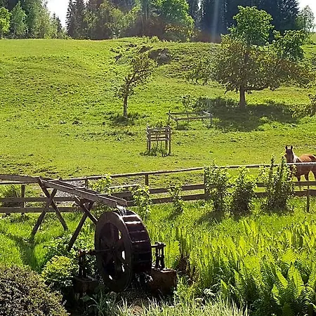 Muehlnerhof Familie Gruber Alojamento de Acomodação e Pequeno-almoço Aich (Styria)