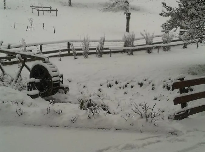 Bed & Breakfast Muehlnerhof Familie Gruber Aich (Styria)