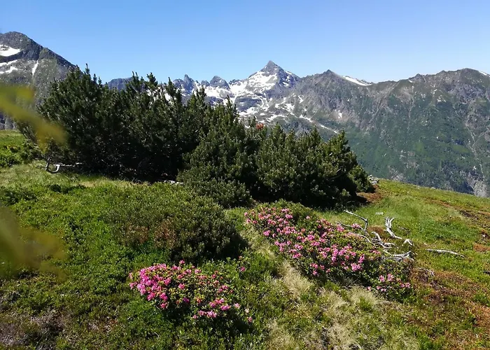 Muehlnerhof Familie Gruber Aich (Styria)
