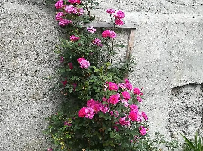 Muehlnerhof Familie Gruber Aich (Styria)