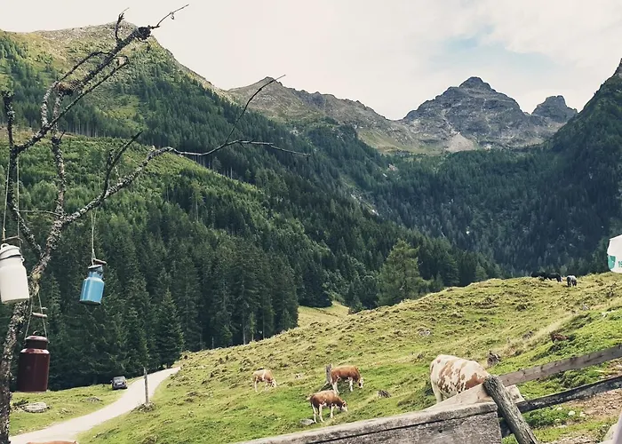 Muehlnerhof Familie Gruber Bed & Breakfast