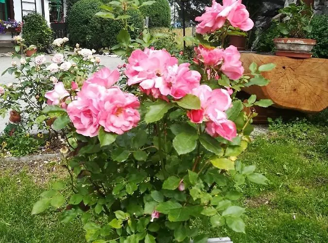 Bed & Breakfast Muehlnerhof Familie Gruber 3*